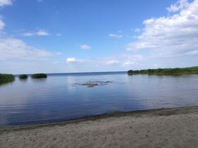 Der Strand von Vogelsang im Sommer.