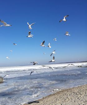Das winterliche Haff lädt zu Spaziergängen und zum Schlittschuhlaufen ein.